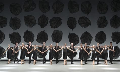  La Grande Danza della Fenice Celeste un capolavoro di simmetria e luce eterea!