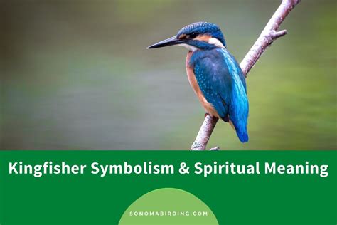  The Sacred Kingfisher: Immersive Symbolism and Radiant Gold Leaf